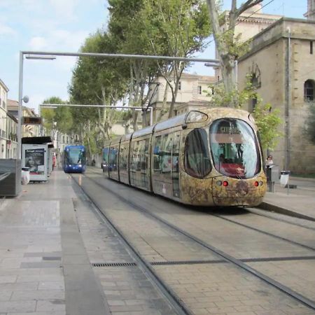 Magnifique 2 Pieces - Plein Centre - Tram 1 Min Montpellier Exterior foto