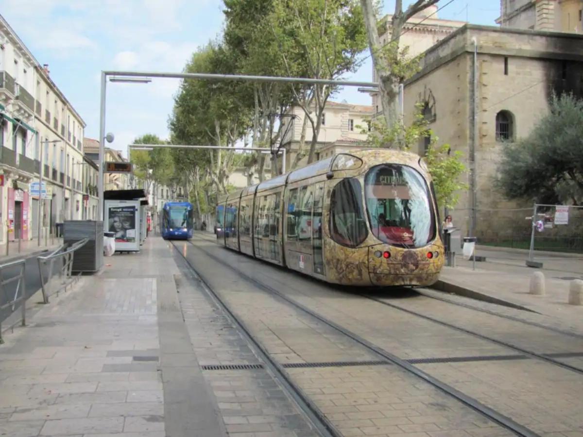 Magnifique 2 Pieces - Plein Centre - Tram 1 Min Montpellier Exterior foto